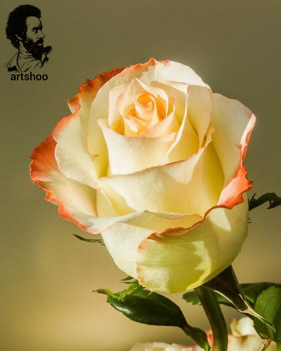 گل اورژینال رنگ روغن